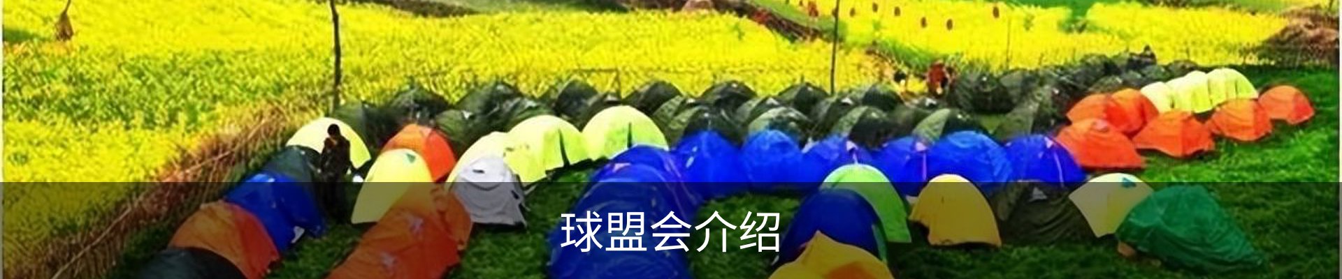 球盟会介绍